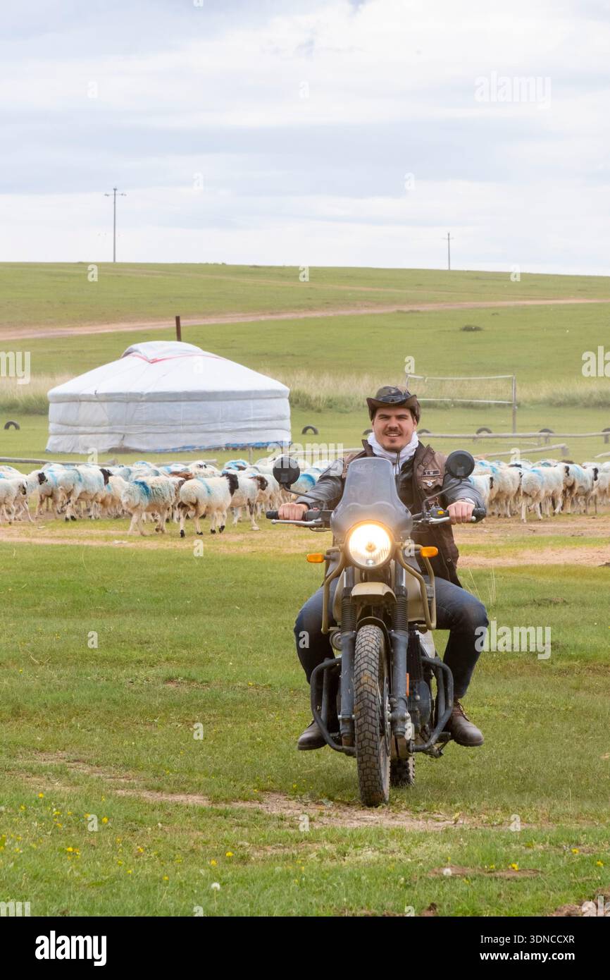 Mongolie, province d'Arkhangai, lac Ogiynuur, un motocycliste sur une moto Royal Enfield Himalayan 400 balade parmi un troupeau de moutons et de yourtes Banque D'Images