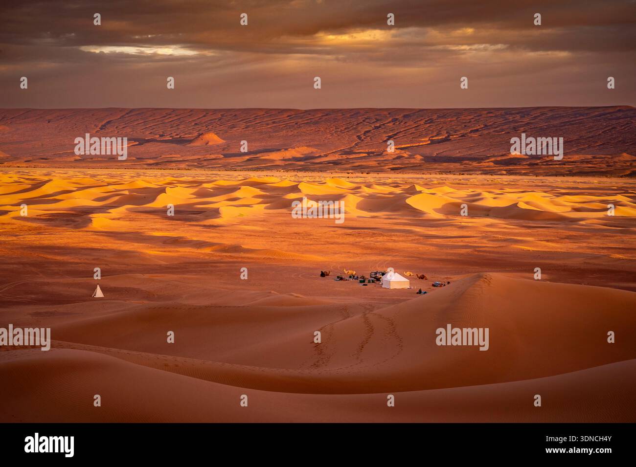 Maroc, Sahara, région de Drâa-Tafilalet, M'Hamid El Ghizlane, Erg El Rhoul, lever de soleil sur les dunes, Jbel Bani en arrière-plan Banque D'Images