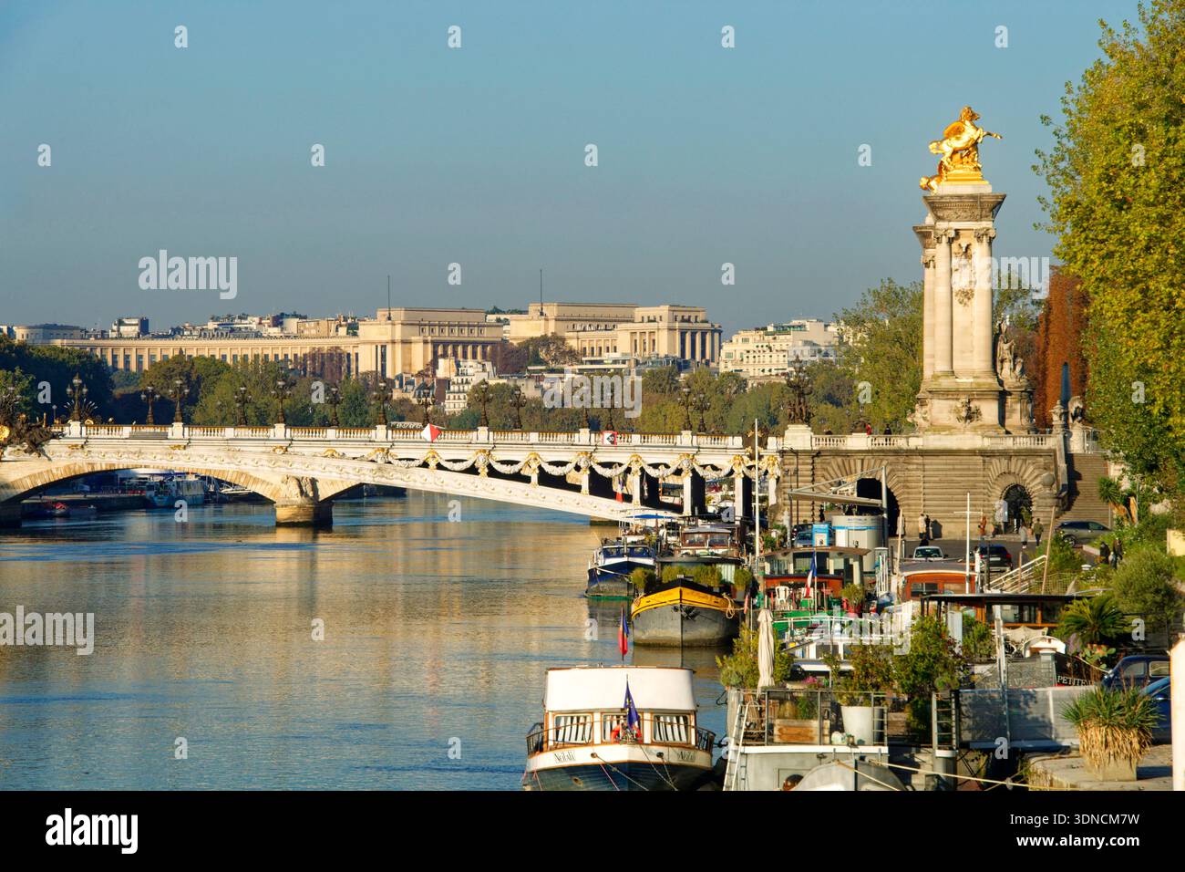 France, Paris, région classée au Patrimoine Mondial de l'UNESCO, pont Alexandre III Banque D'Images