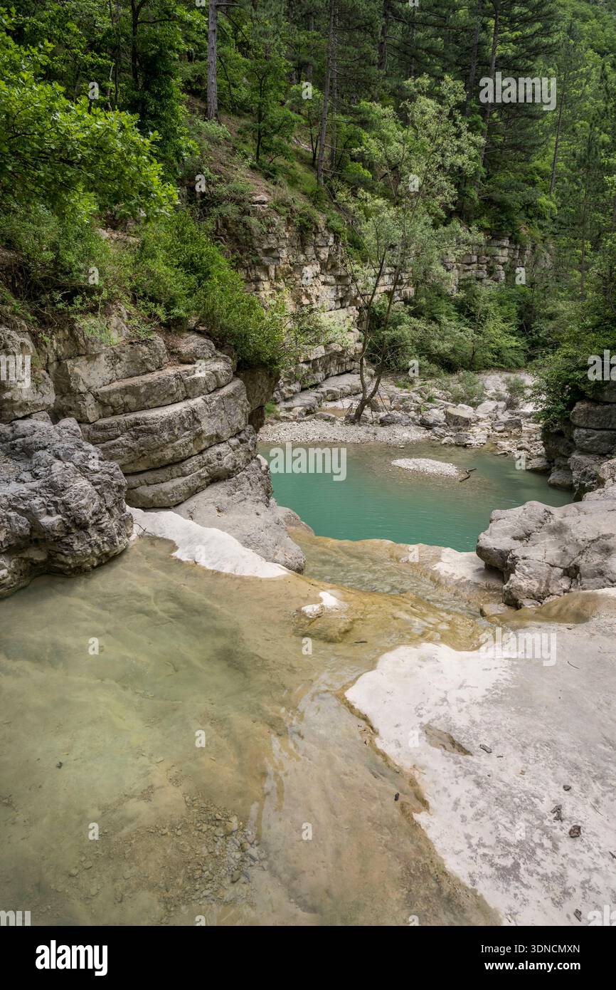 France, Drôme, parc naturel régional des Baronnies provencales, gorges de l'Aulan bordant le Toulourenc Banque D'Images