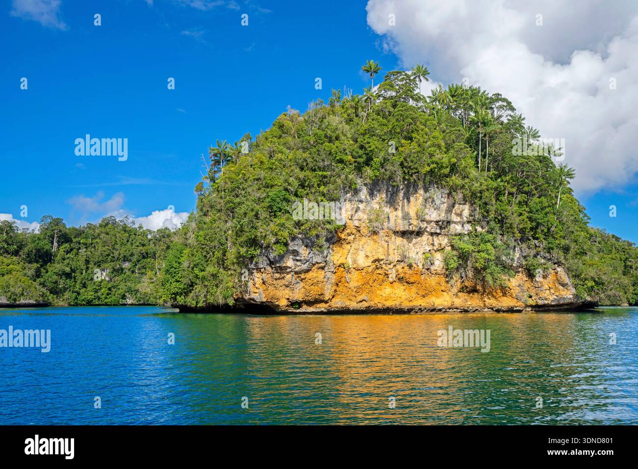 Indonésie, Papouasie occidentale, archipel Raja Ampat Banque D'Images