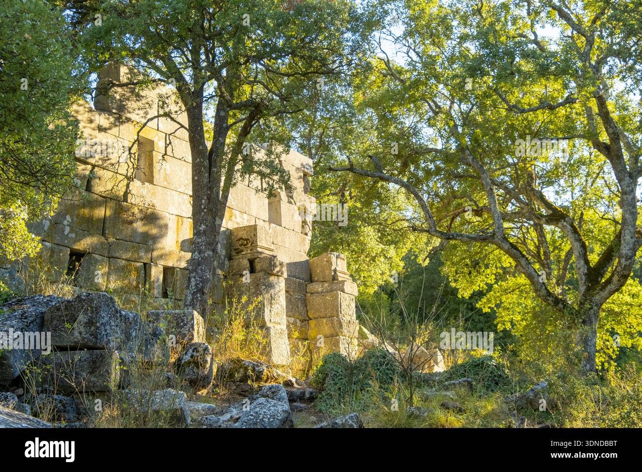 Turquie, région méditerranéenne, Côte Turquoise, Pamphylie, site de Termessos, le temple corinthien et le portique Attaios Banque D'Images