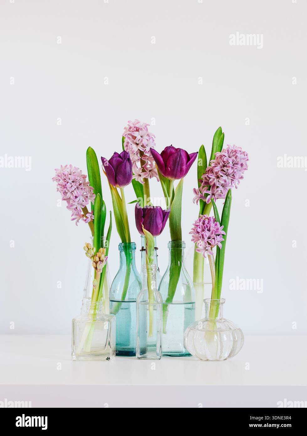 Nature morte printanière avec jacinthes roses et tulipes violettes dans différents vases en verre Banque D'Images