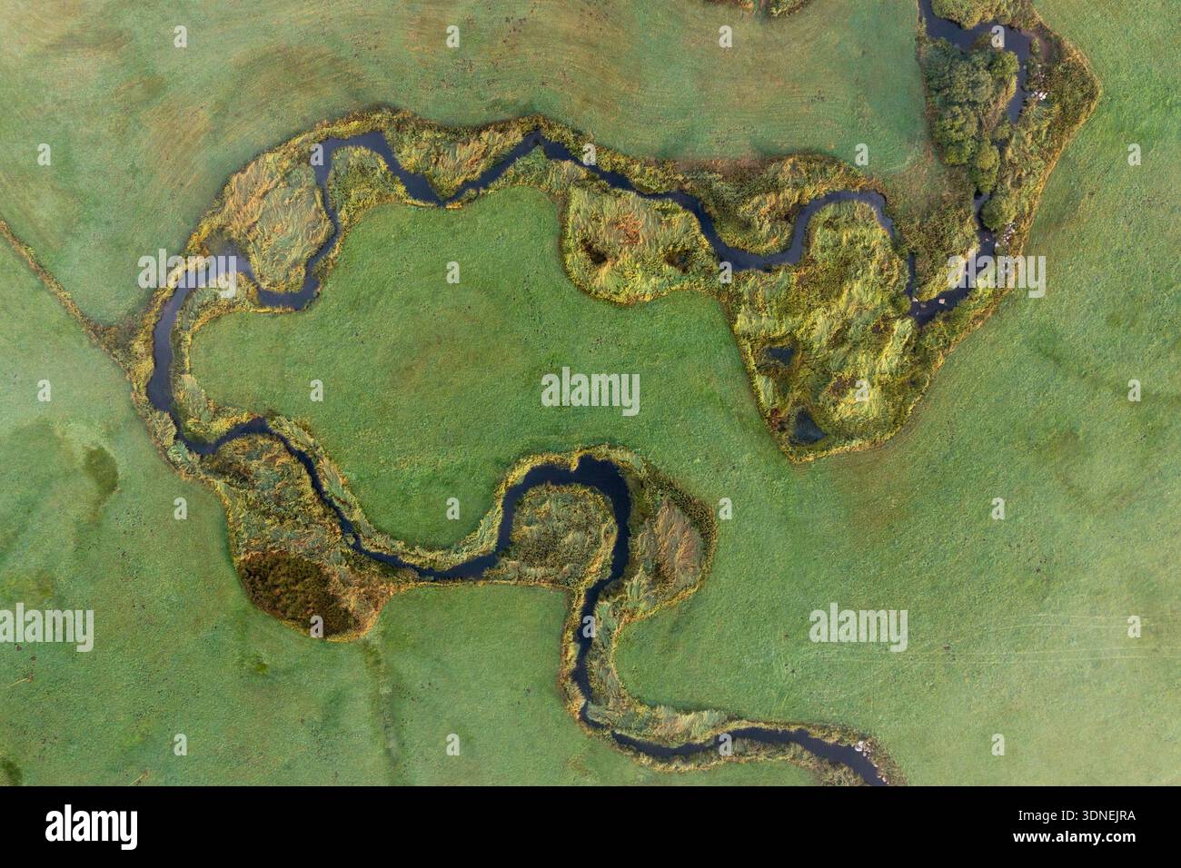 le lit de la rivière le Bès dans l'Aubrac dans le massif central /le lit du Bès en Aubrac dans le massif Central. France Banque D'Images