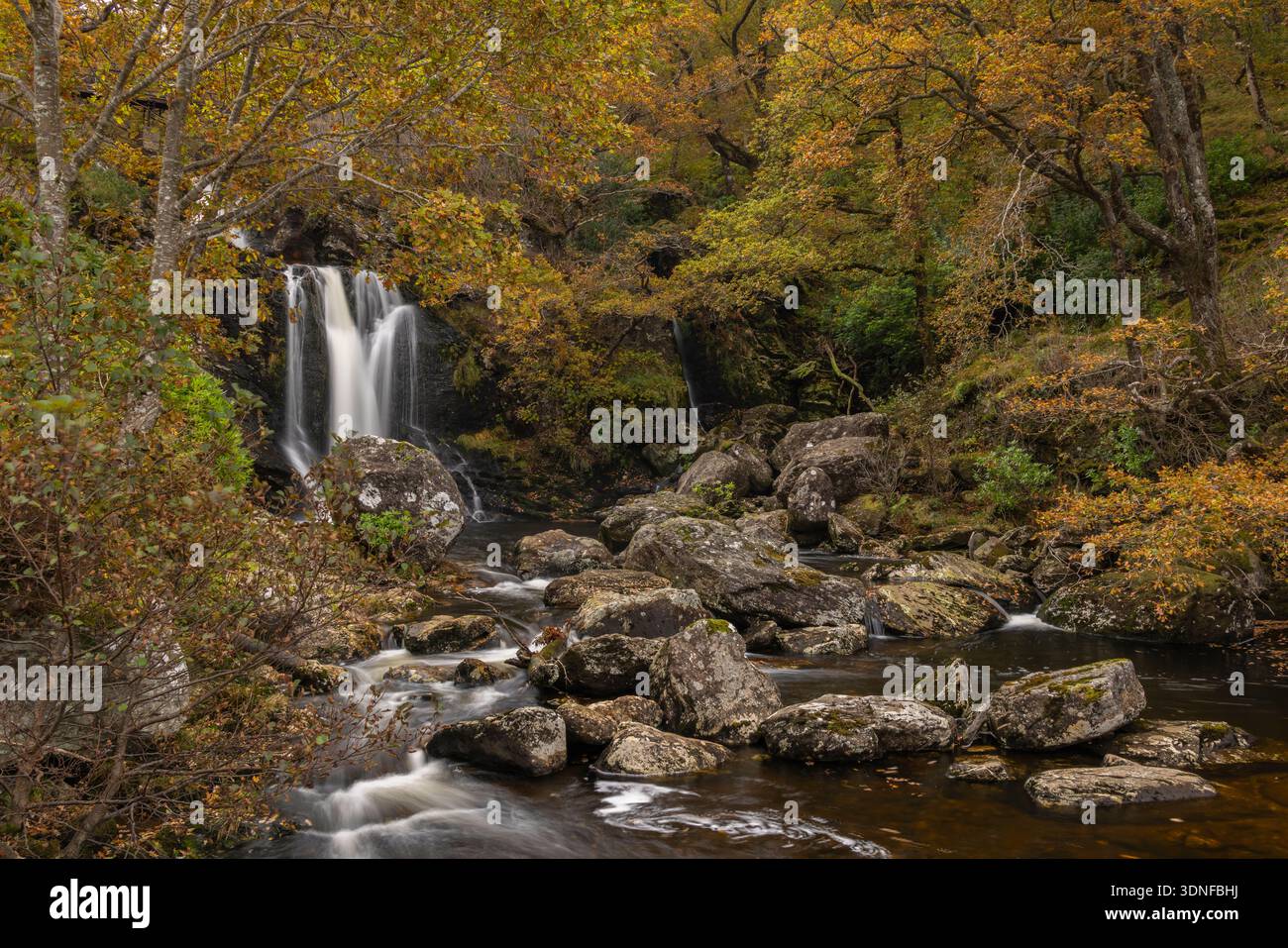 Inversnaid Falls sur le bord du Loch Lomond dans les Trossachs, en Écosse. Automne (octobre) 2025. Banque D'Images