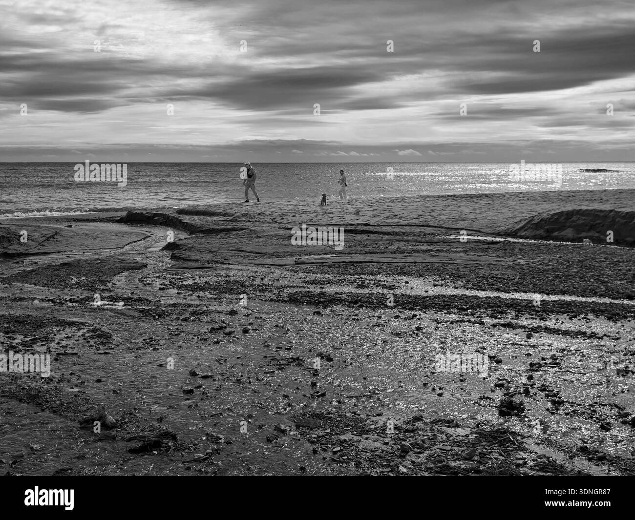 Benalmádena, Málaga, Espagne. 8 février 2026. Couple hétérosexuel se promenant paisiblement avec leur chien le long de la plage de Benalmádena, Espagne. Banque D'Images