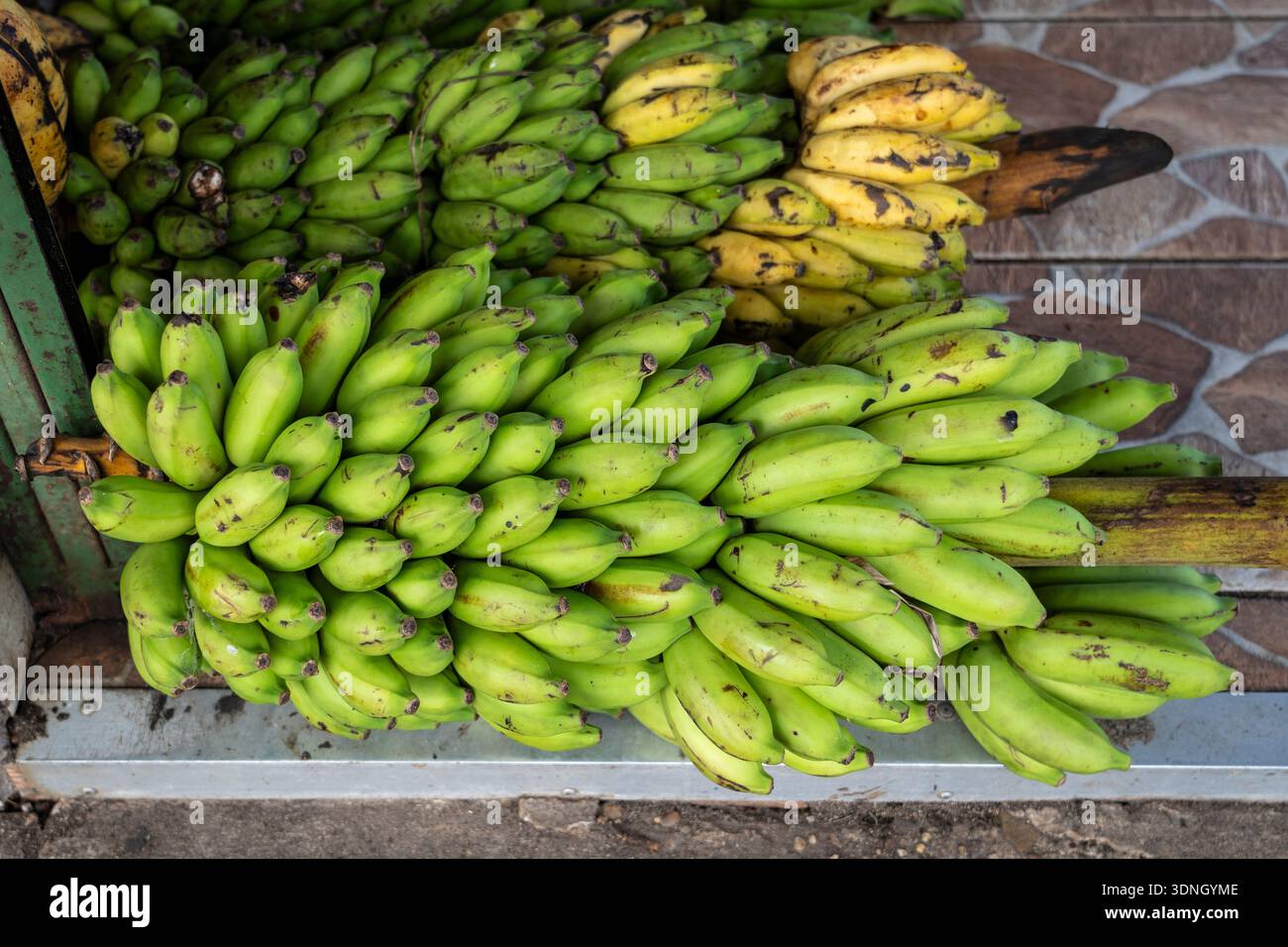 Fruits de bananes biologiques frais à vendre sur un marché à Manaus, Amazonas, Brésil. Agriculture familiale agriculture. Concept de nourriture saine, durabilité. Banque D'Images