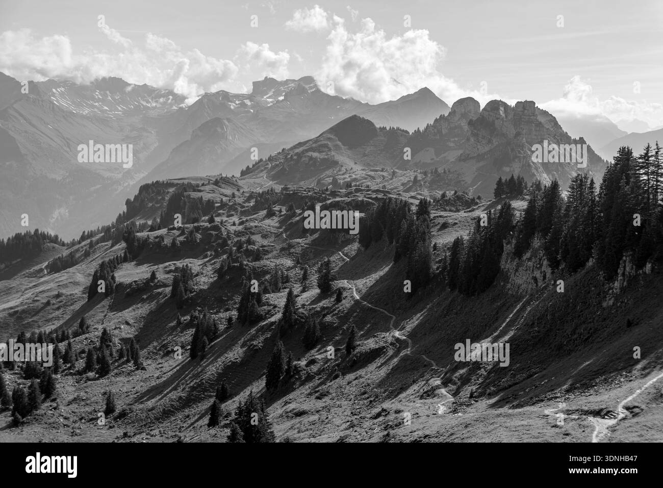 Alpage idyllique de la Schynige Platte dans les alpes suisses Banque D'Images