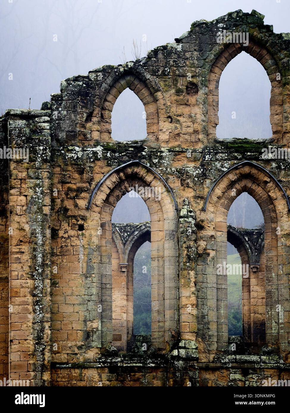 Abbaye de Rievaulx dans la brume hivernale. Banque D'Images