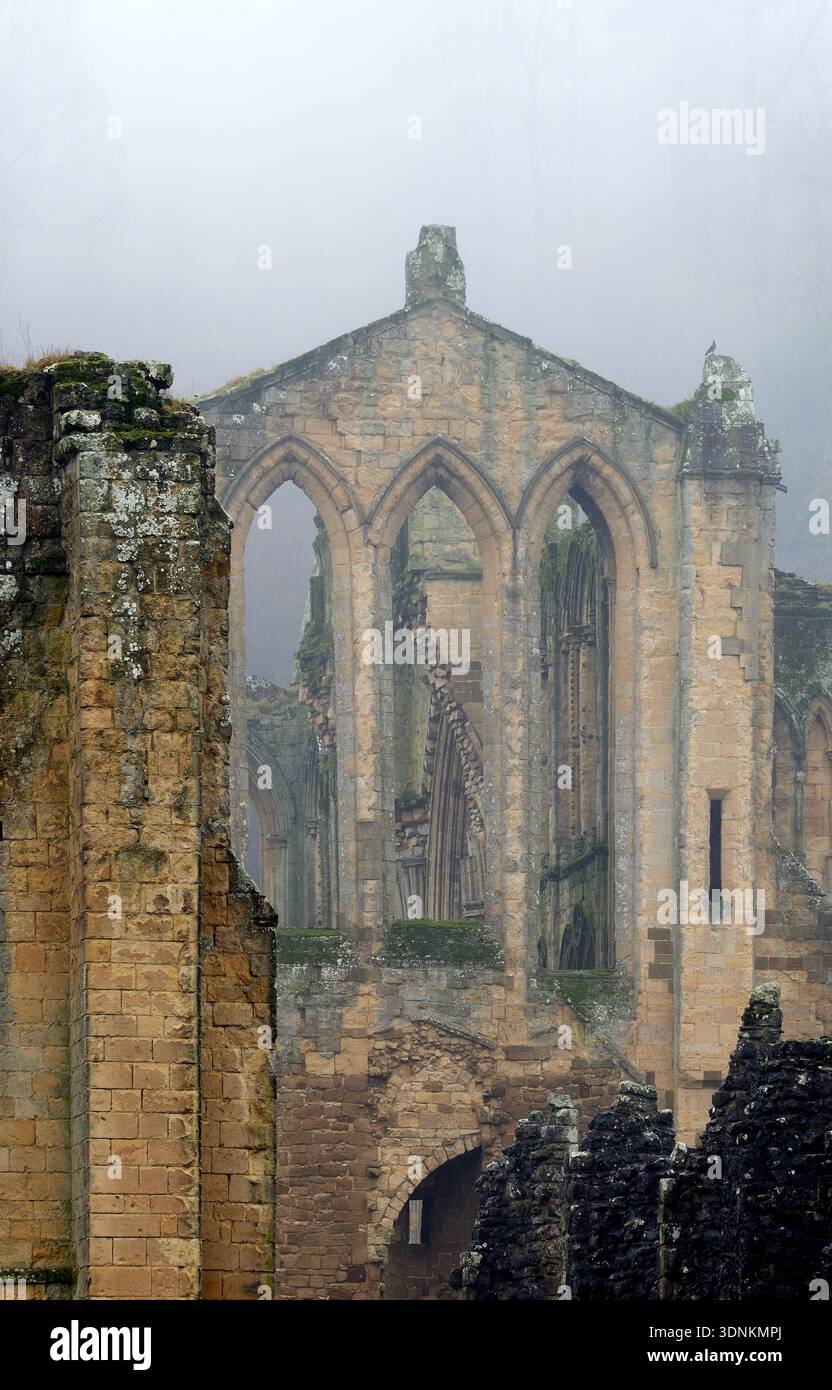 Abbaye de Rievaulx dans la brume hivernale. Banque D'Images