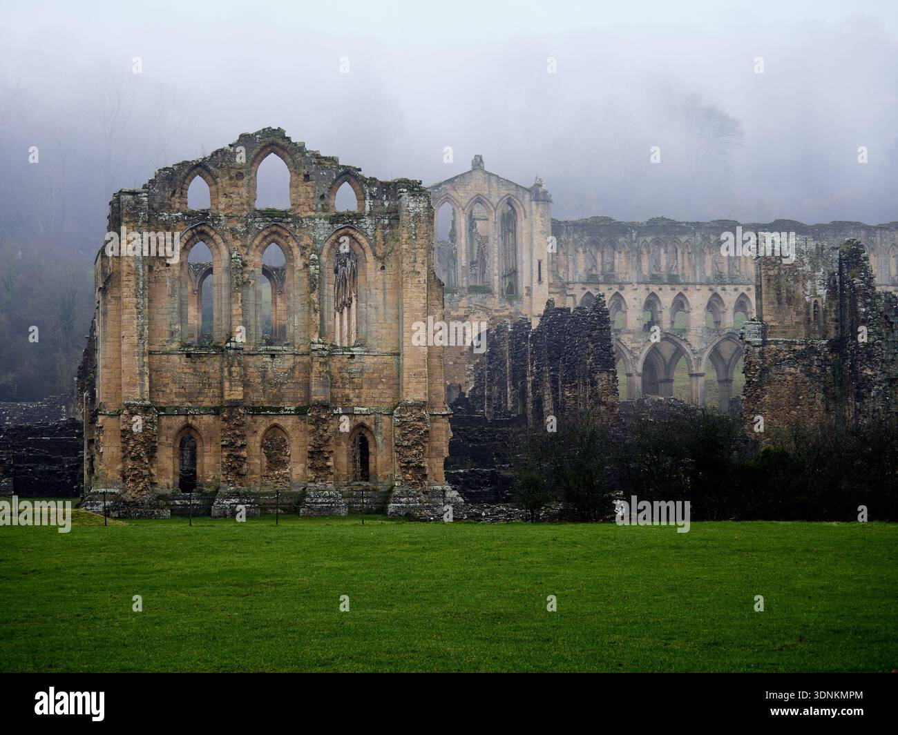 Abbaye de Rievaulx dans la brume hivernale. Banque D'Images