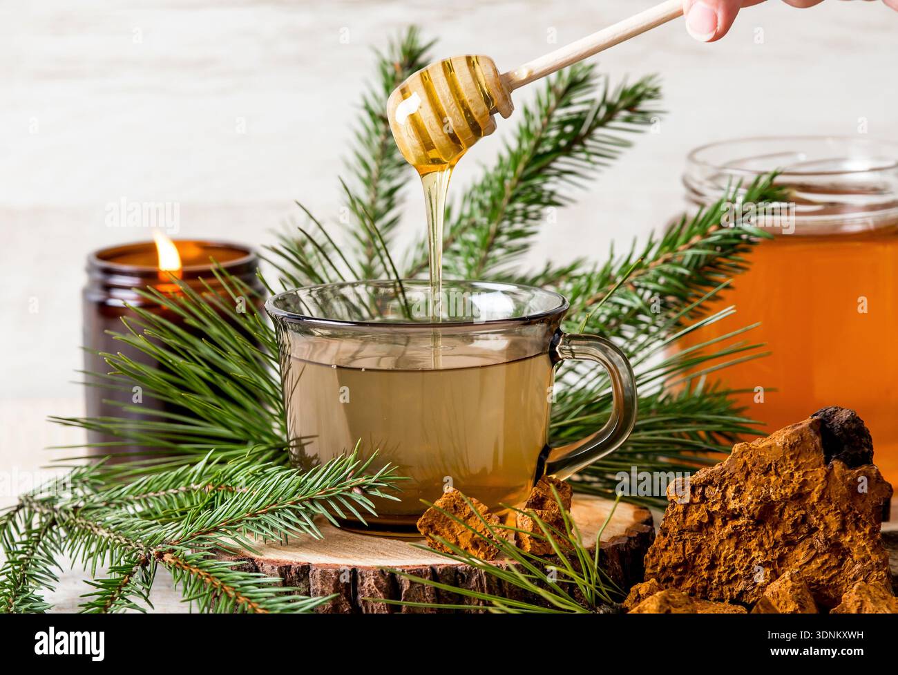 Thé épicéa et aiguille de pin avec poudre de champignon Chaga Inonotus obliquus et miel. Branches d'arbre et morceaux de Chaga Inonotus obliquus pour la décoration. Banque D'Images
