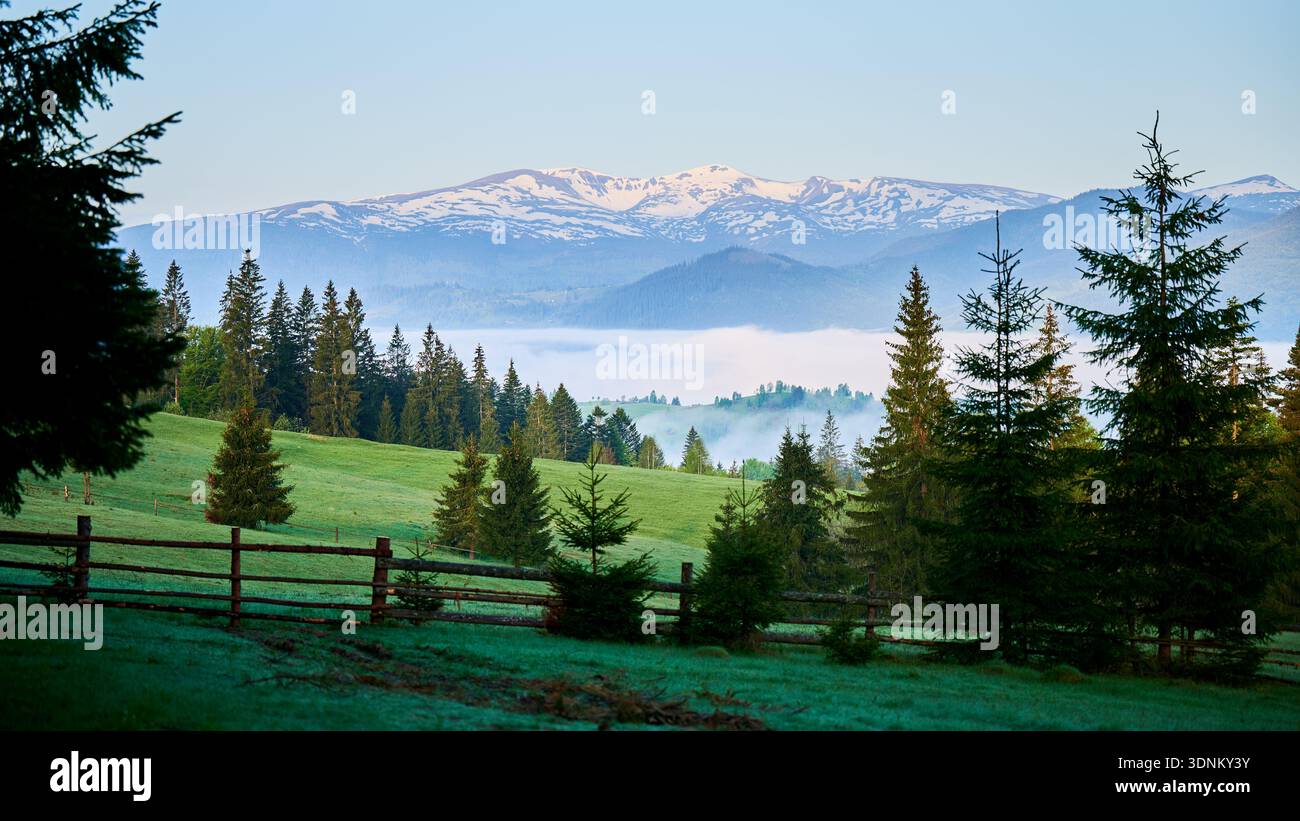 Paysage serein présentant une prairie verdoyante, encadrée par de grands arbres à feuilles persistantes et une clôture en bois au premier plan. La brume dérive à travers la scène, avec des montagnes enneigées majestueusement en arrière-plan. Banque D'Images
