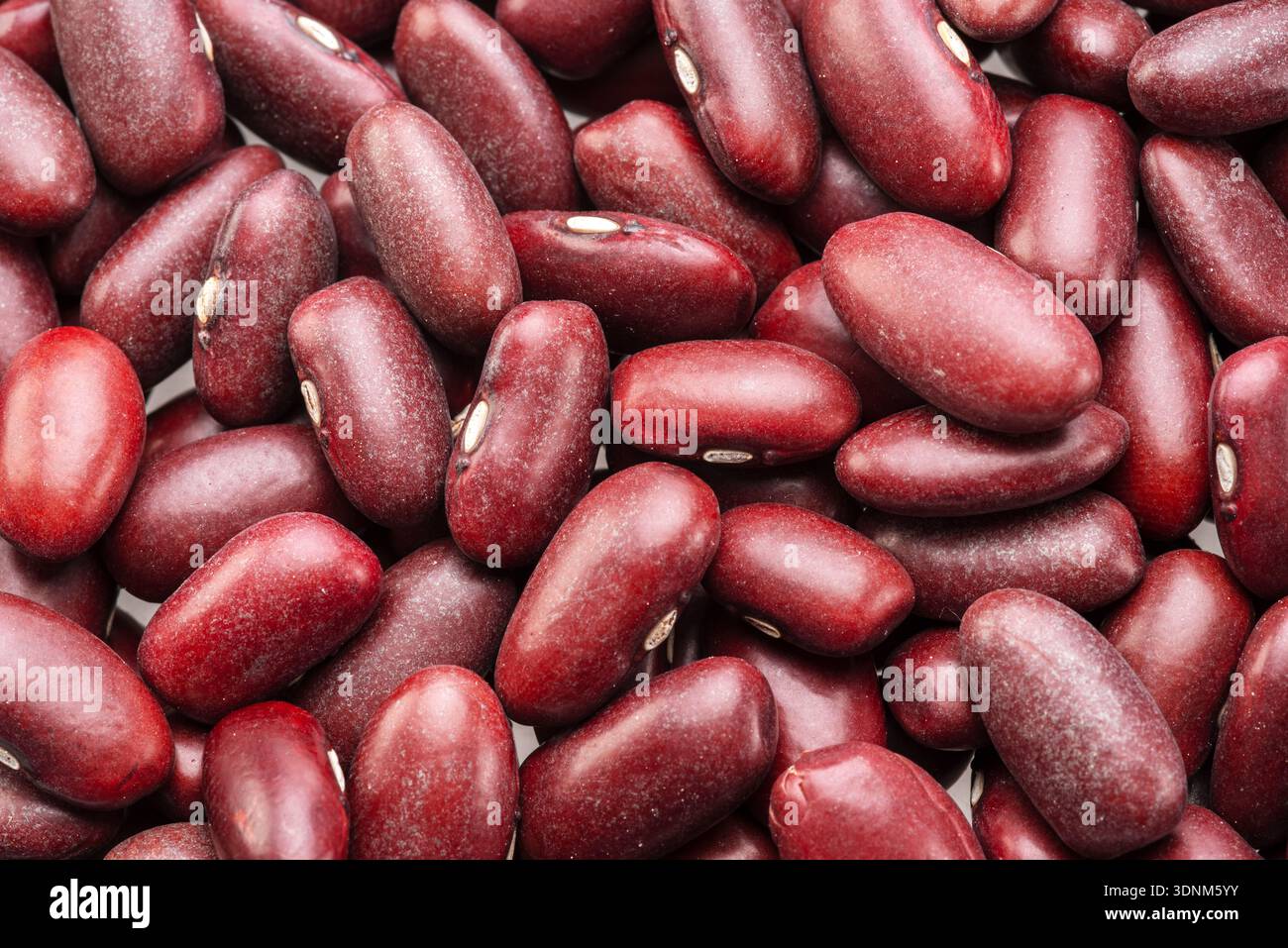 Gros plan sur les haricots rouges. Contexte alimentaire. Banque D'Images