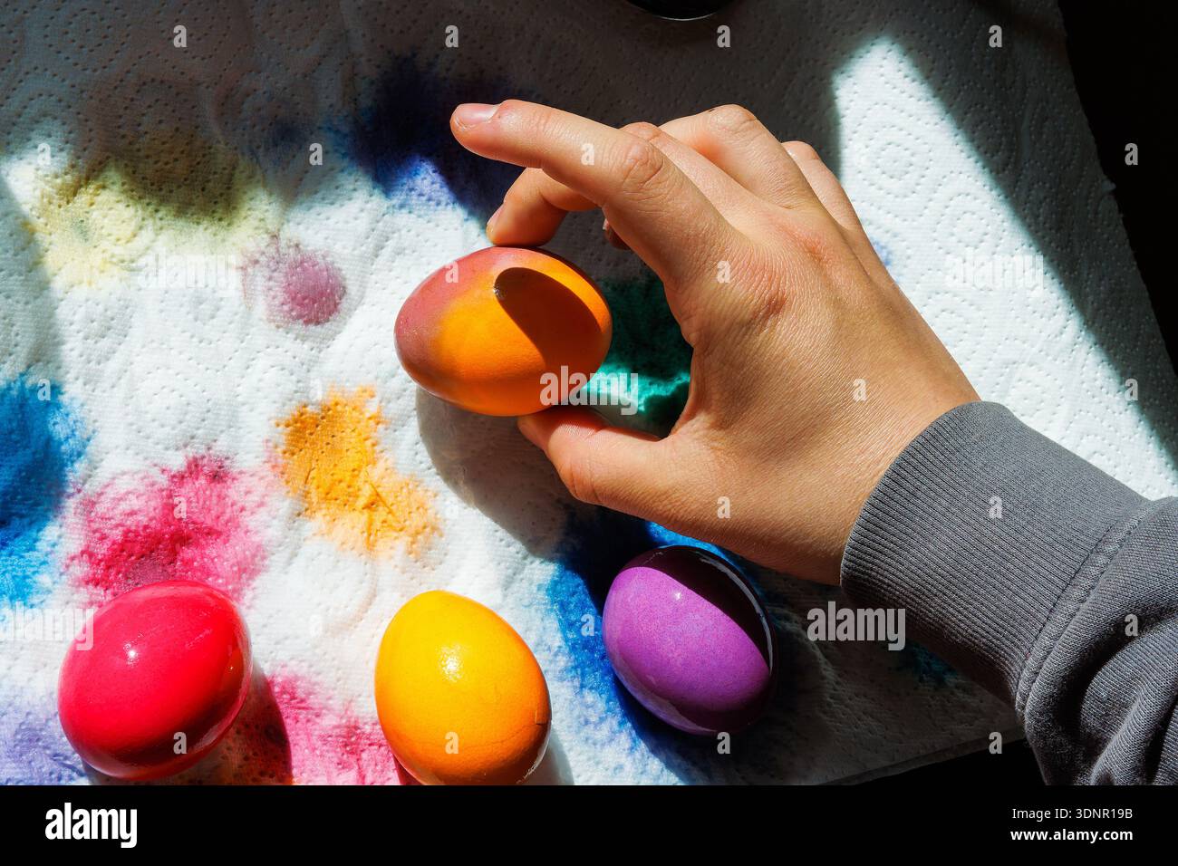 Main arrangeant les oeufs de pâques teints sur du papier absorbant avec des taches colorées de teinture Banque D'Images