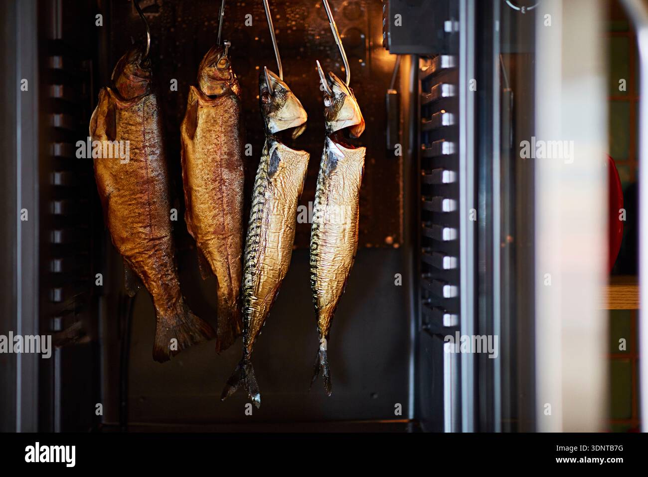 Maquereau fumé et truite dans le fumeur Banque D'Images