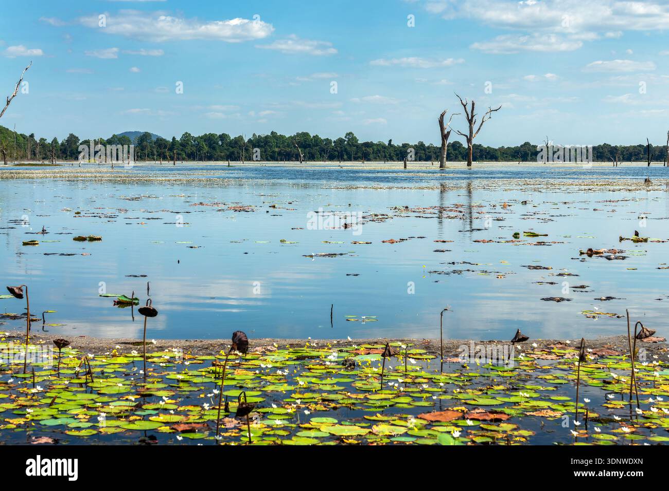 Vue de Jaytataka North Baray, réservoir d'eau près du temple Neak Poan à Angkor, Siem Reap, Cambodge Banque D'Images