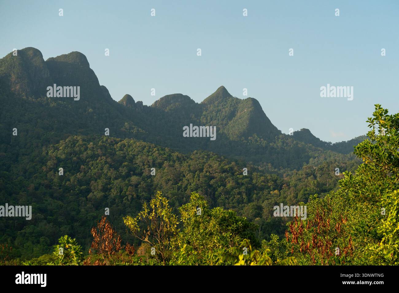 Une vue dégagée de la spectaculaire crête montagneuse de Langkawi qui s’élève au-dessus de la forêt tropicale dense. Banque D'Images