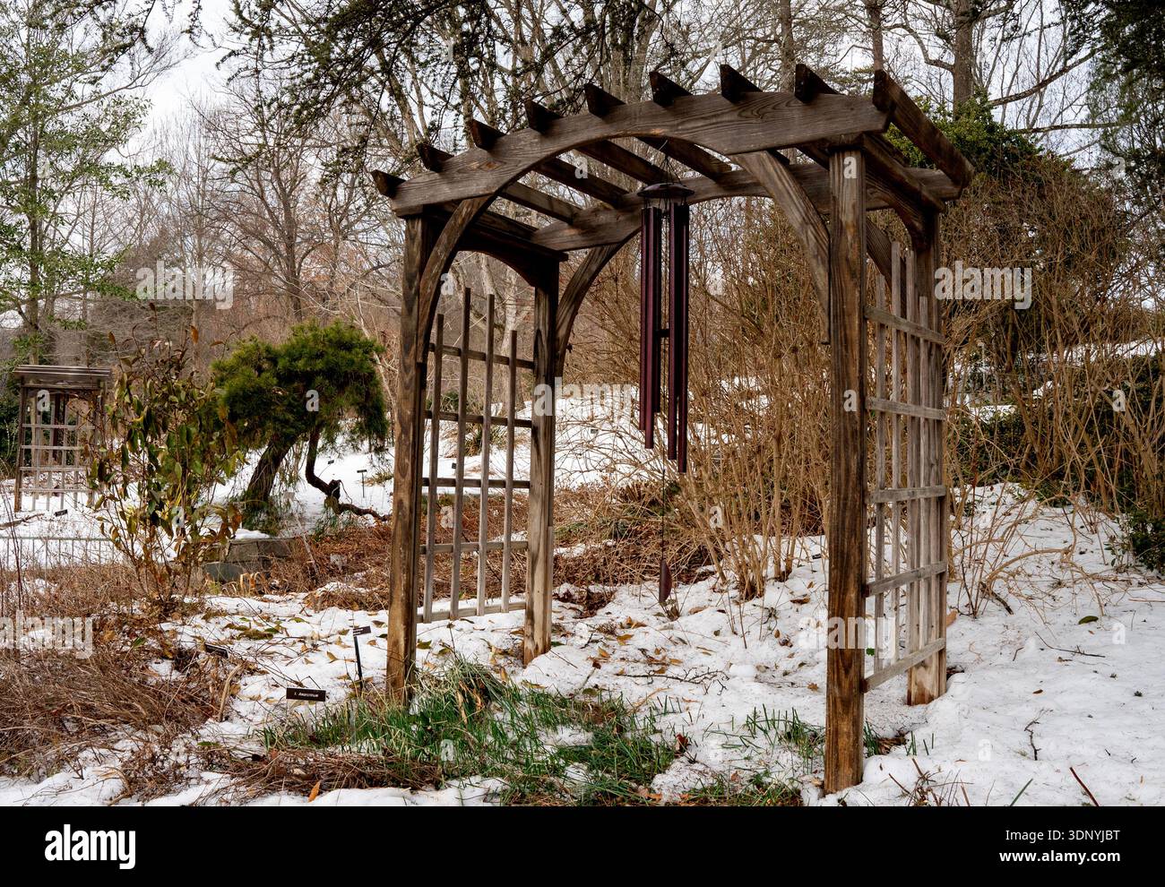 Une journée d'hiver enneigée dans un parc Banque D'Images