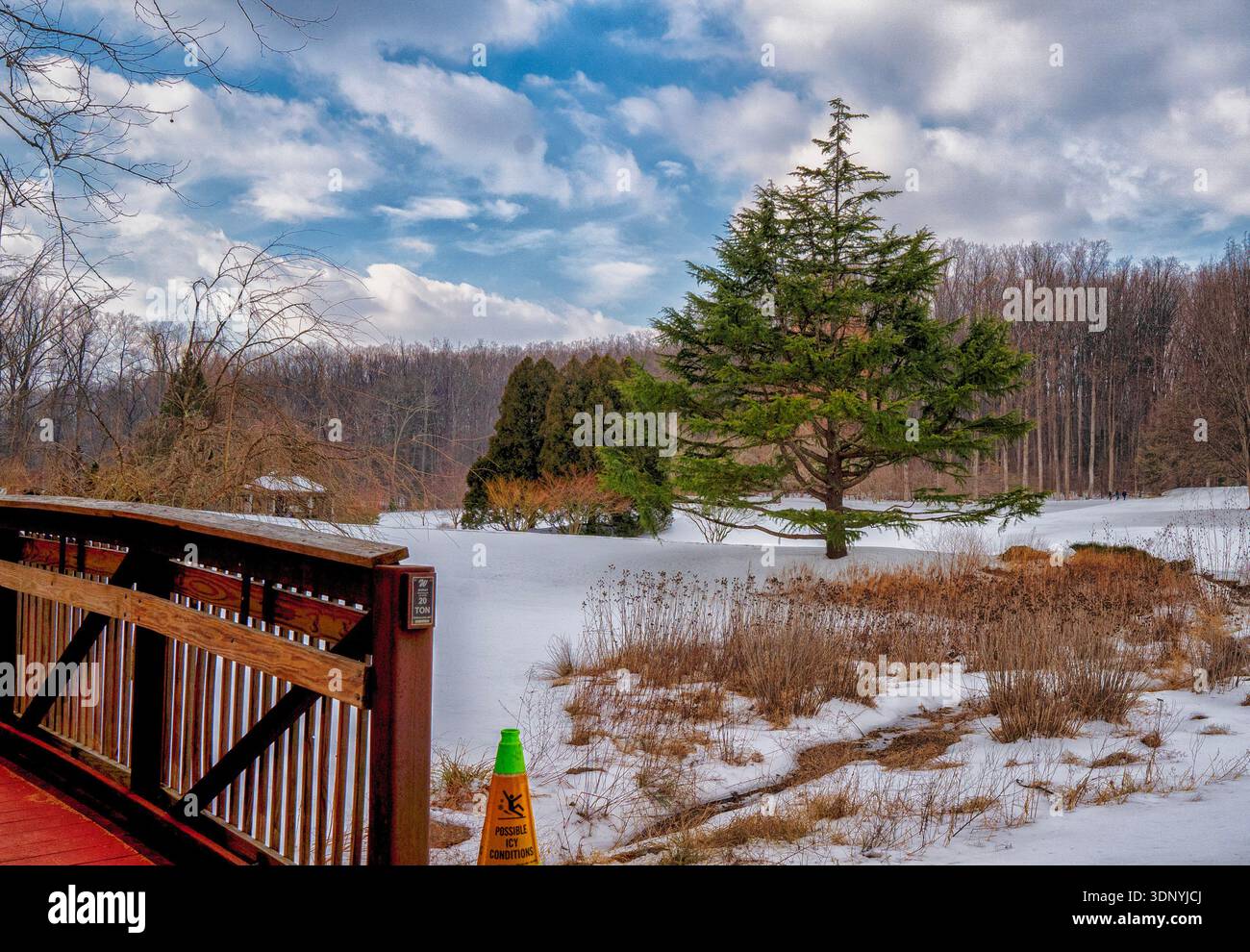 Une journée d'hiver enneigée dans un parc Banque D'Images