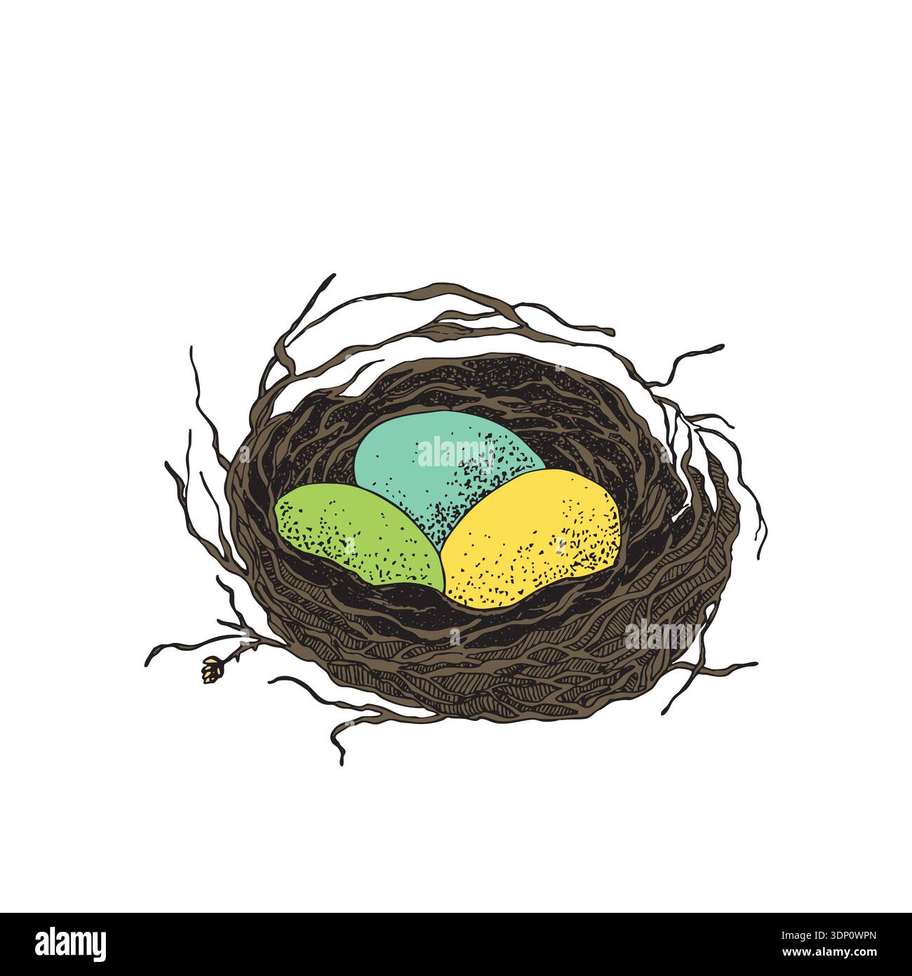 Nid d'oiseau avec des œufs. Illustration vectorielle dessinée à la main de Pâques, conception de modèle Illustration de Vecteur