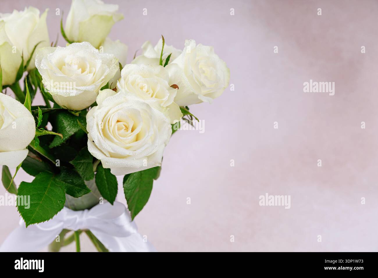 Gros plan du bouquet de roses blanches sur fond pastel Banque D'Images