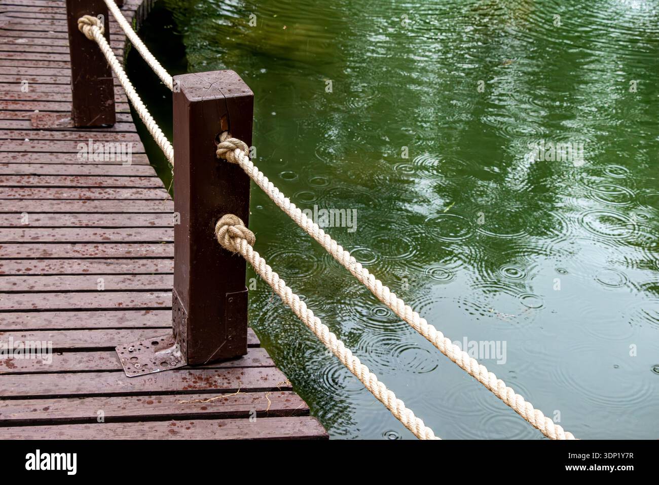 Les gouttes de pluie créent des ondulations sur la surface de l'eau verte. La corde en fibre naturelle attachée à des poteaux en bois altérés forme une barrière de sécurité. Les planches mouillées réfléchissent la lumière ambiante sous le ciel couvert. mise au point sélective Banque D'Images