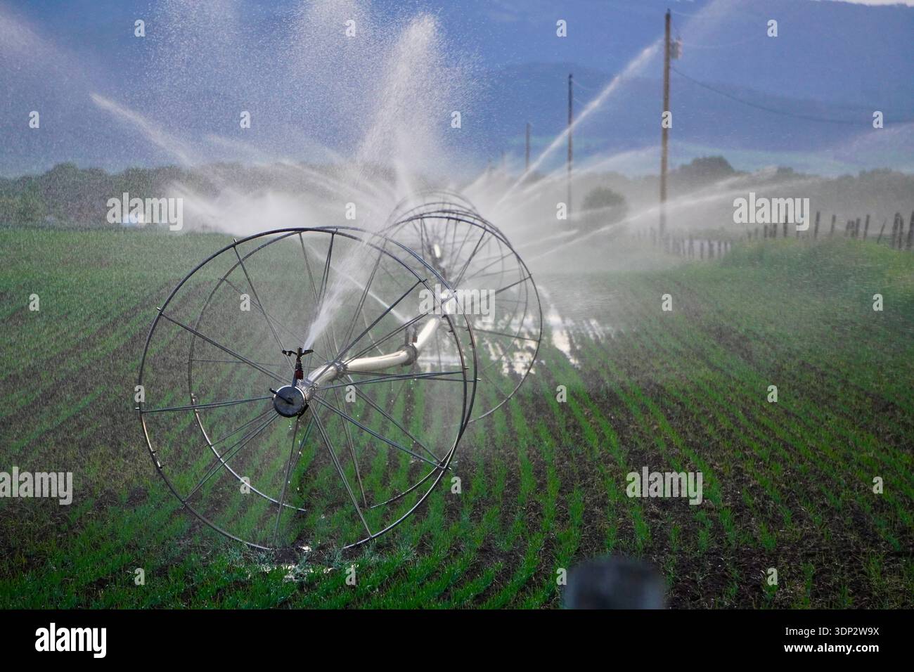 Arroseurs d'irrigation agricole utilisés sur les cultures Banque D'Images