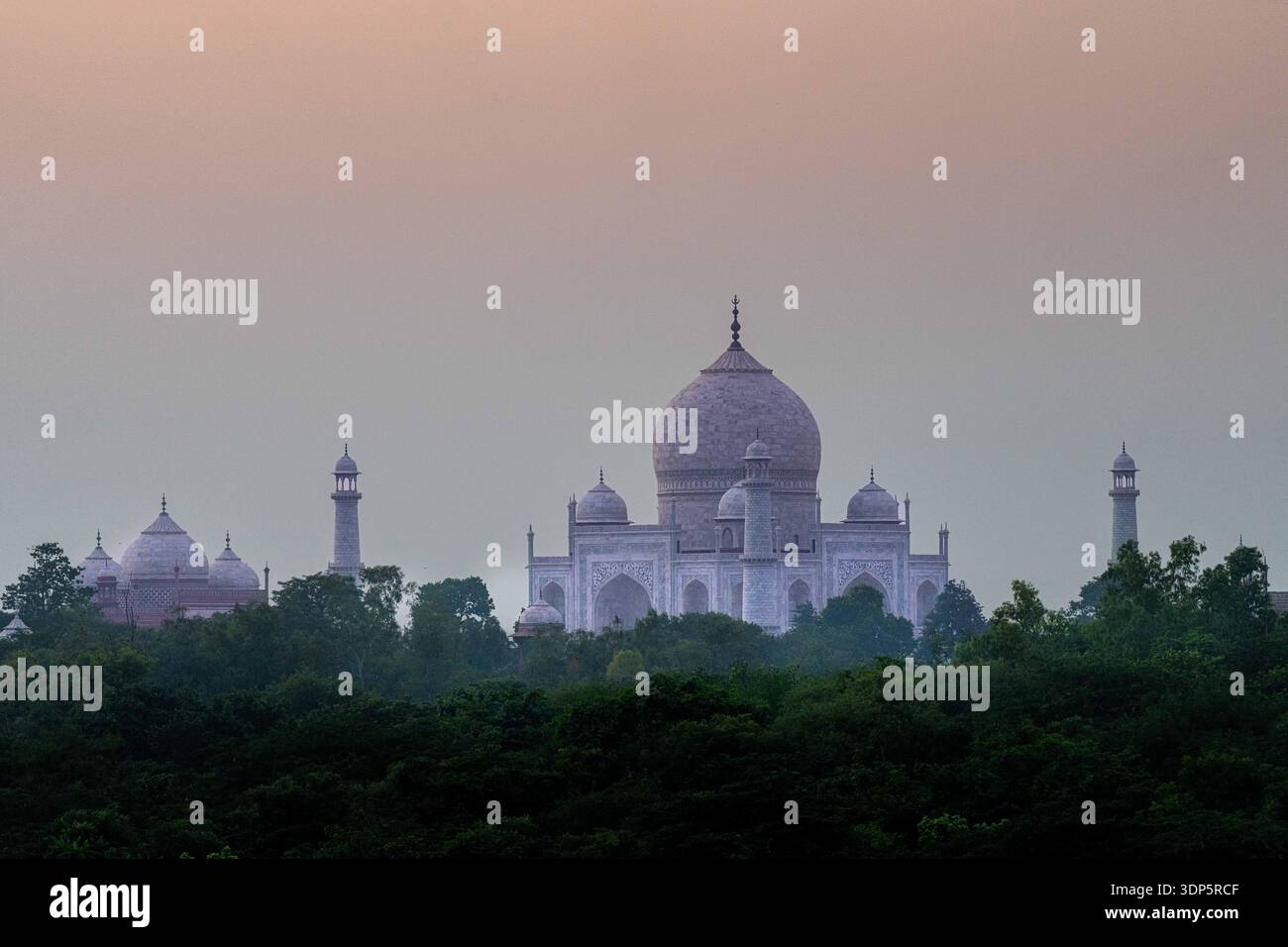 Taj Mahal pris à distance à travers des arbres verts Banque D'Images
