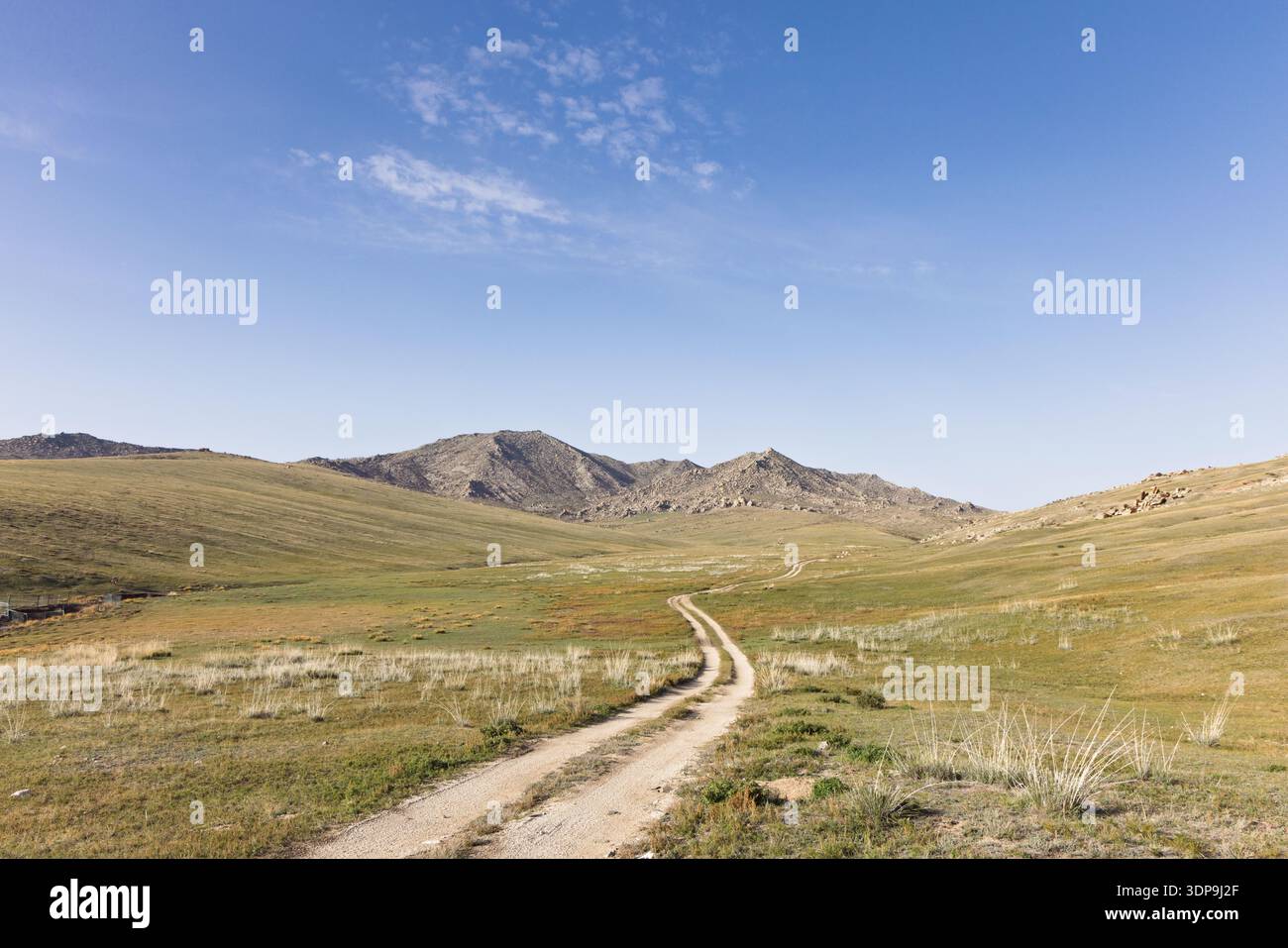Un chemin de terre sinueux serpente à travers la steppe vallonnée et les collines herbeuses du parc national de Hustai (Khustain Nuruu) dans le centre de la Mongolie. Banque D'Images