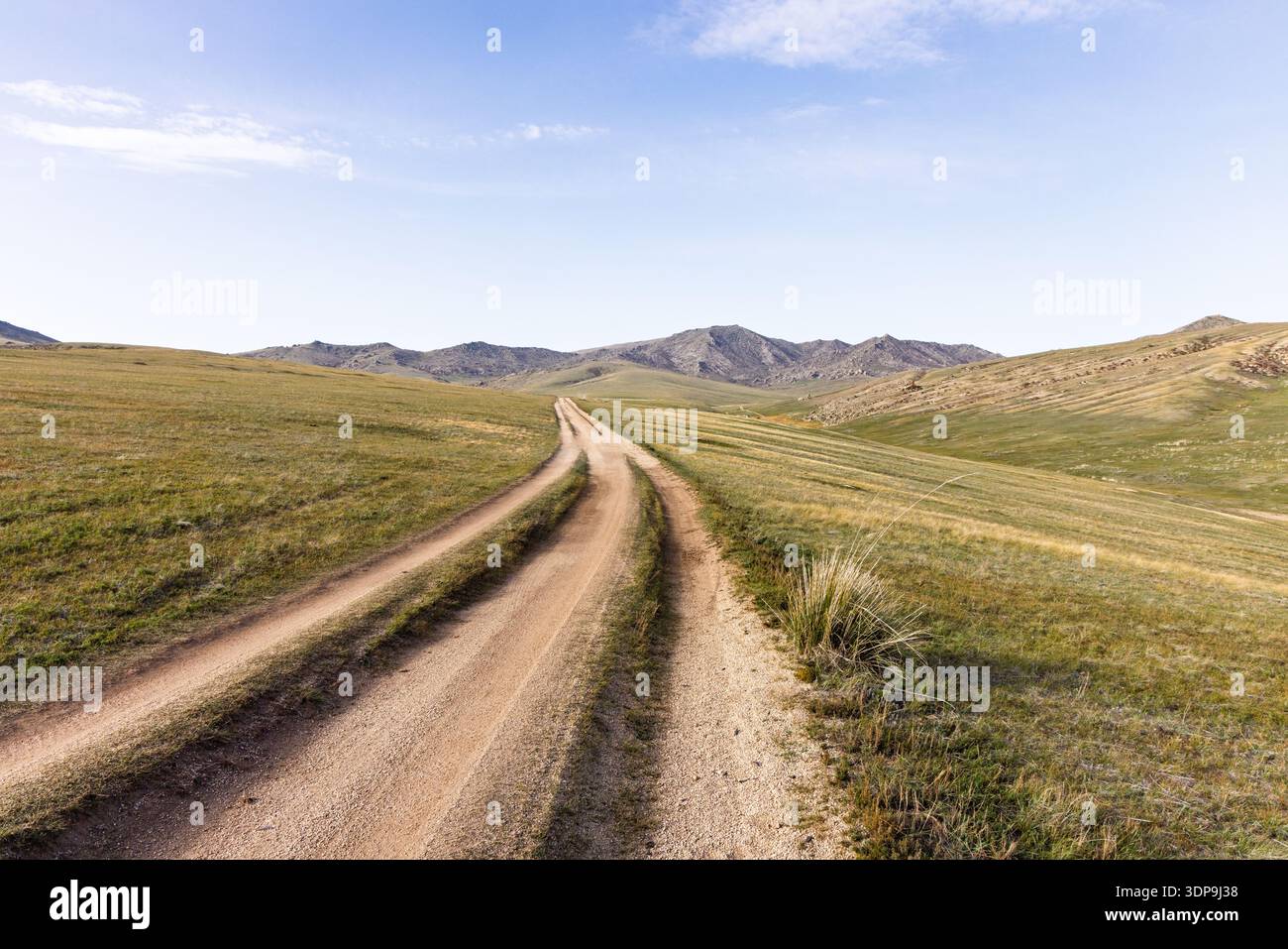 Un chemin de terre sinueux serpente à travers la steppe vallonnée et les collines herbeuses du parc national de Hustai (Khustain Nuruu) dans le centre de la Mongolie. Banque D'Images