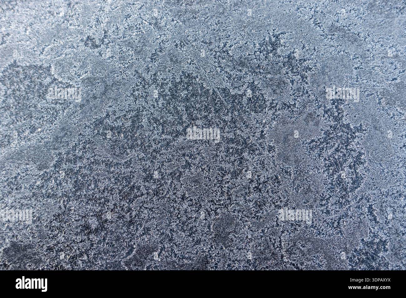 Gros plan de cristaux de gel couvrant une surface sombre, créant une texture hivernale naturelle et un motif glacé abstrait Banque D'Images