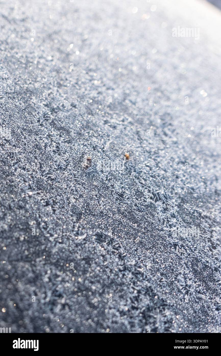 Gros plan de cristaux de gel couvrant une surface sombre, créant une texture hivernale naturelle et un motif glacé abstrait Banque D'Images