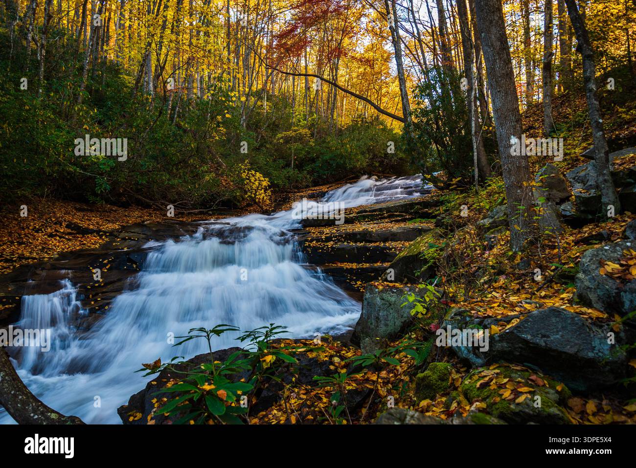 Chute d'eau dans les montagnes pendant l'automne Banque D'Images