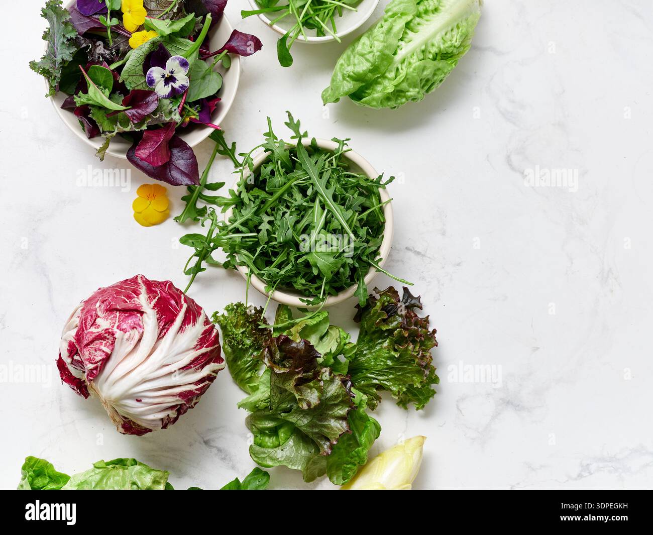 Différents types de laitues et de légumes sont disposés sur un comptoir en marbre dans une cuisine. Les ingrédients comprennent le radicchio, la romaine, la roquette et le radi Banque D'Images