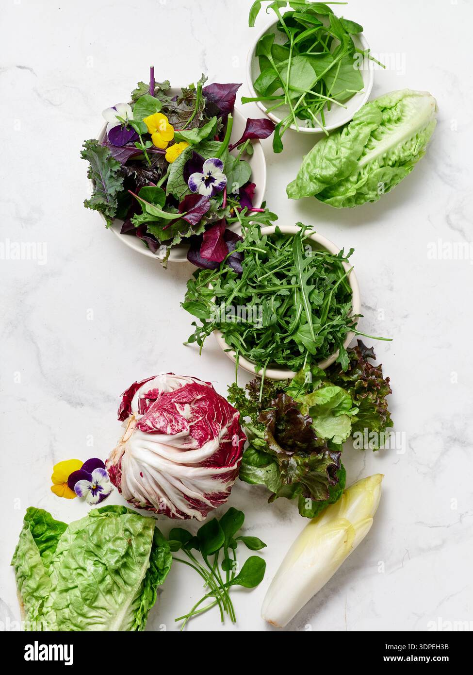 Différents types de laitues et de légumes sont disposés sur un comptoir en marbre dans une cuisine. Cette configuration est idéale pour faire des salades fraîches et saines m Banque D'Images
