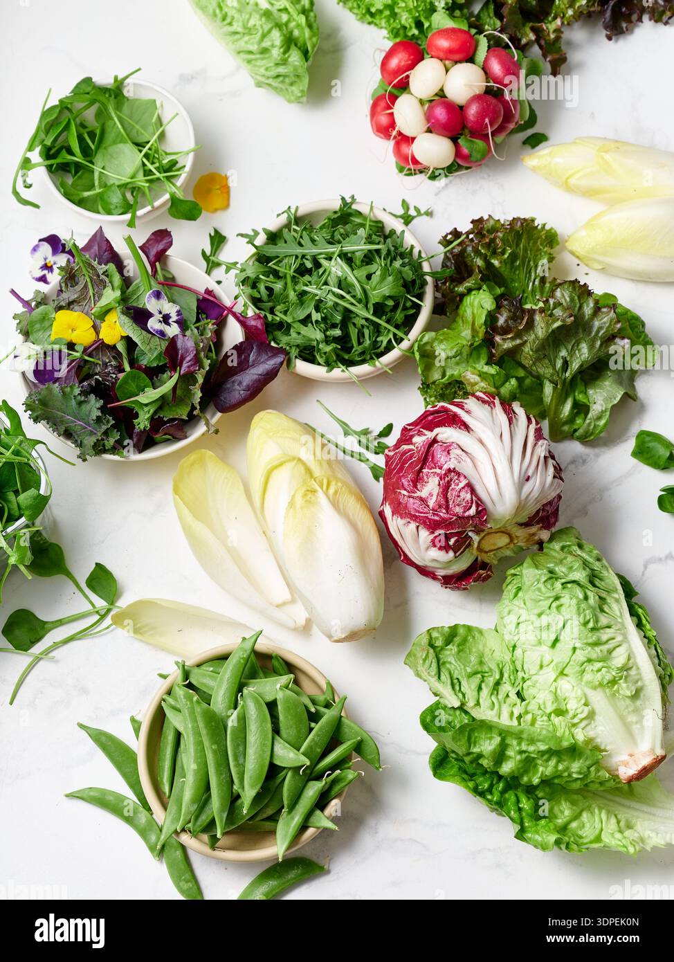 Différents types de laitues et de légumes sont disposés sur un comptoir en marbre dans une cuisine. Les ingrédients comprennent des radis, des pois mange-tout et de la bouffée comestible Banque D'Images