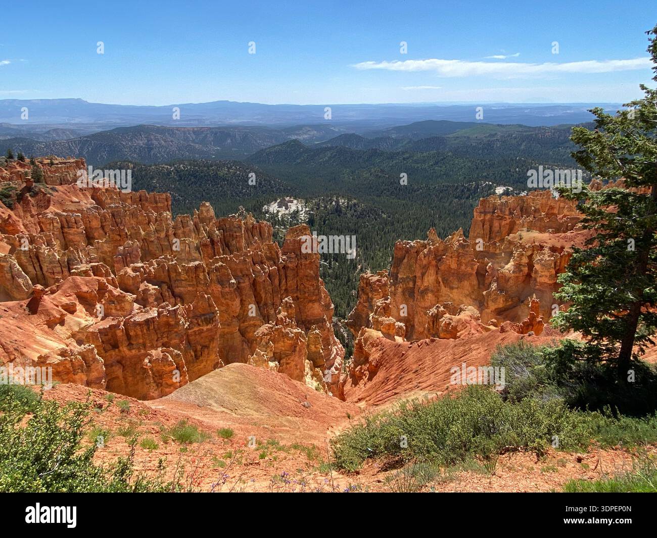 Un paysage panoramique de montagnes de grès et de calcaire et de vallées remplies d'arbres de viverdure à Ponderosa point dans le parc national de Bryce Canyon, Uta - Image de stock capturée avec un smartphone