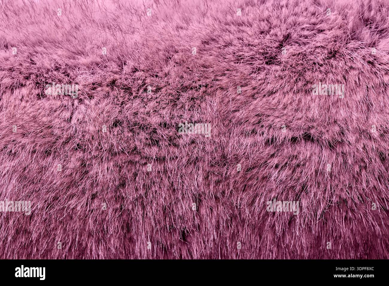 gros plan de la fourrure rose vue de dessus Banque D'Images