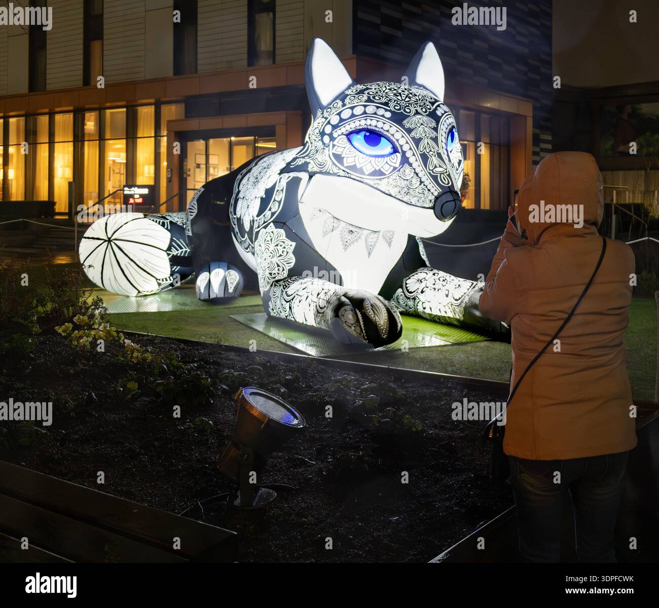 Femme photographiant un loup gonflable illuminé, faisant partie de l'installation 'nocturne' : Spectra Festival of Light 2026, Aberdeen, Écosse. Banque D'Images