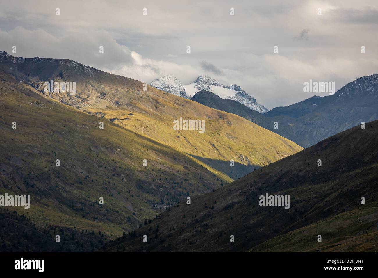 Vallée de montagne illuminée par la lumière douce du soleil avec des pentes alpines vallonnées et des sommets enneigés lointains sous le ciel nuageux, créant un contraste spectaculaire de Banque D'Images