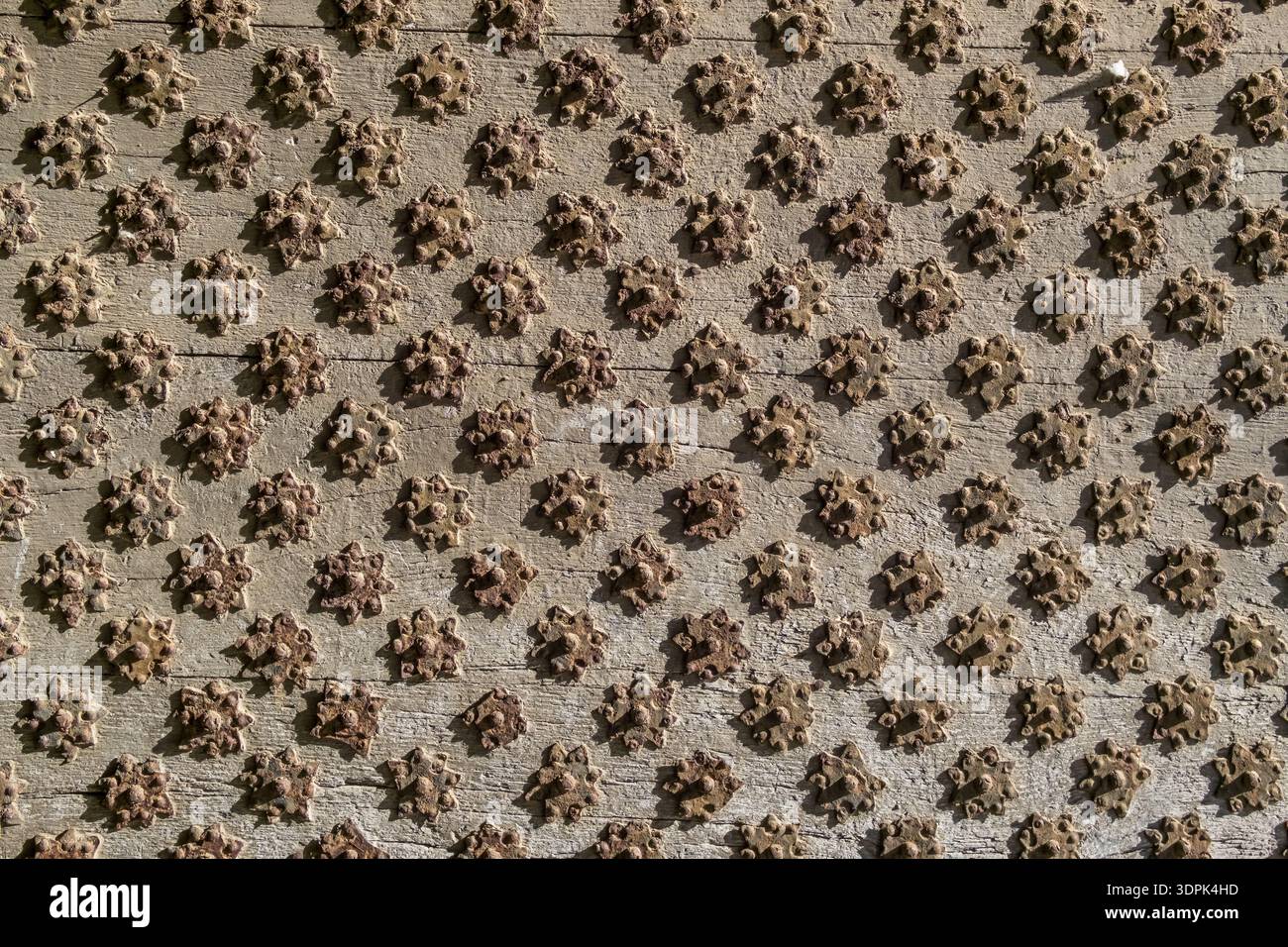 Gros plan de l'ancienne porte en bois avec des goujons métalliques décoratifs en forme d'étoile Banque D'Images