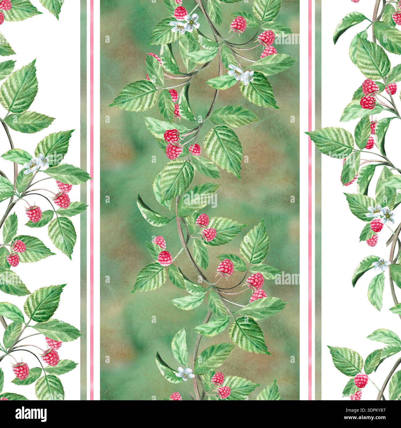 Branches verticales de framboise sur un fond rayé vert et blanc dans un motif sans couture. Illustration d'aquarelle isolée pour l'emballage de thé à base de plantes Banque D'Images