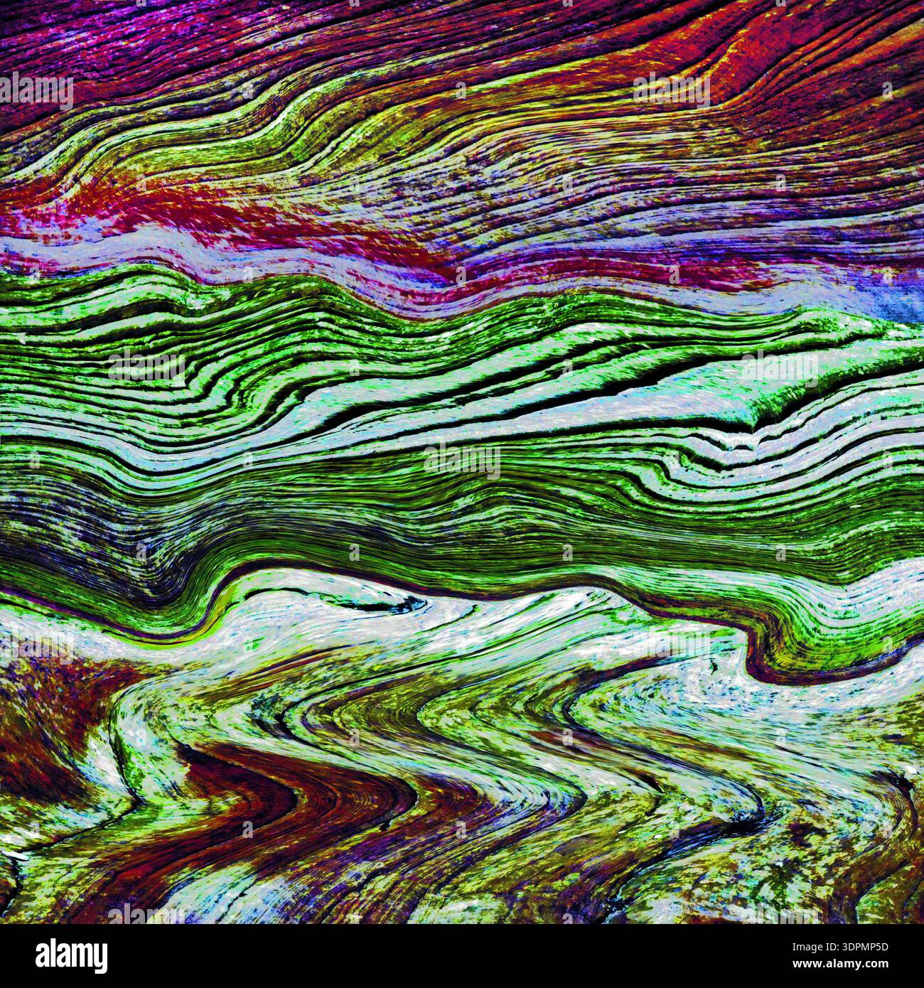 Motif abstrait de lignes ondulées de grès et de strates rocheuses coulantes. Coyote Buttes, Vermilion Cliffs National Monument, États-Unis. Banque D'Images