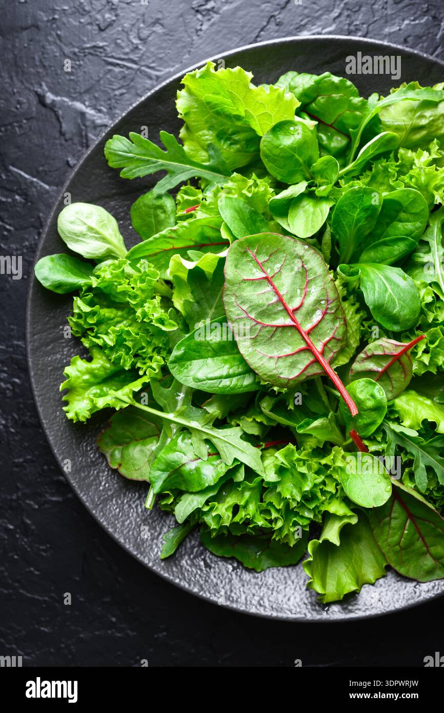 Salade verte avec feuilles de laitue bouclées sur plaque noire sur fond noir. Texture feuillue fraîche montrée sur la surface rustique foncée Banque D'Images
