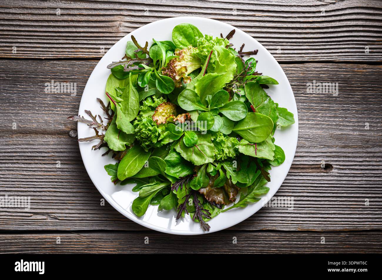 Feuilles de salade verte disposées sur une assiette blanche dans un style minimal. Légumes à feuilles fraîches sur surface rustique Banque D'Images