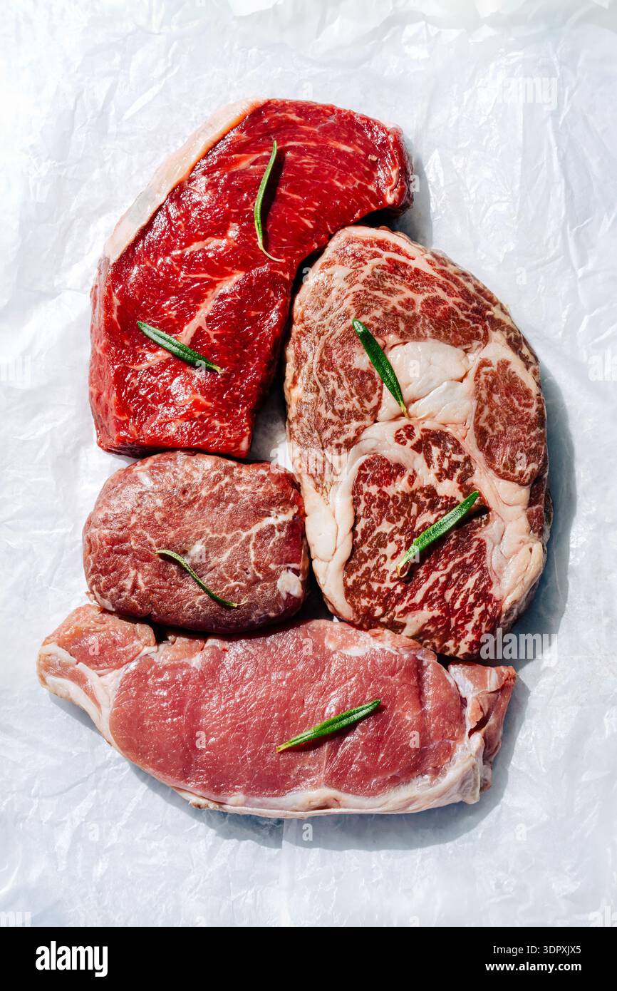 Une sélection de coupes de steak haut de gamme comprenant ribeye, filet mignon, entrecote et striploin, artistiquement disposées sur un fond blanc avec g de romarin Banque D'Images