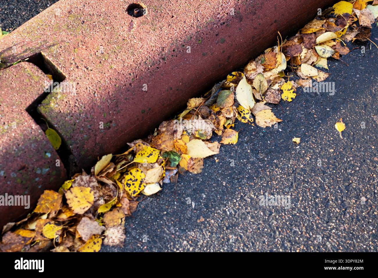 Feuilles tombées dans l'espace de bordure fissuré, segment de barrière en béton rouge niché contre l'asphalte foncé, révélateur en gros plan Banque D'Images