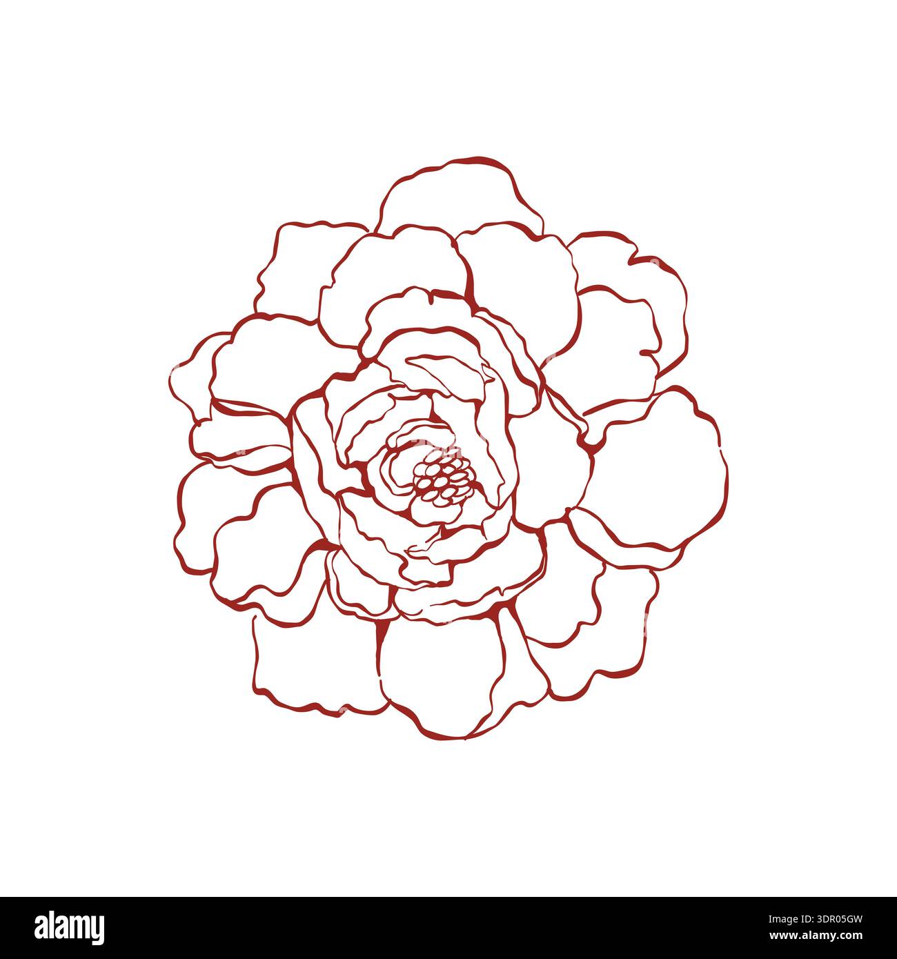 Dessin au trait d'une fleur de pivoine. Linéaire floral. Illustration fine d'une rose. Fleur dessinée à la main. Illustration vectorielle en rouge. Illustration de Vecteur