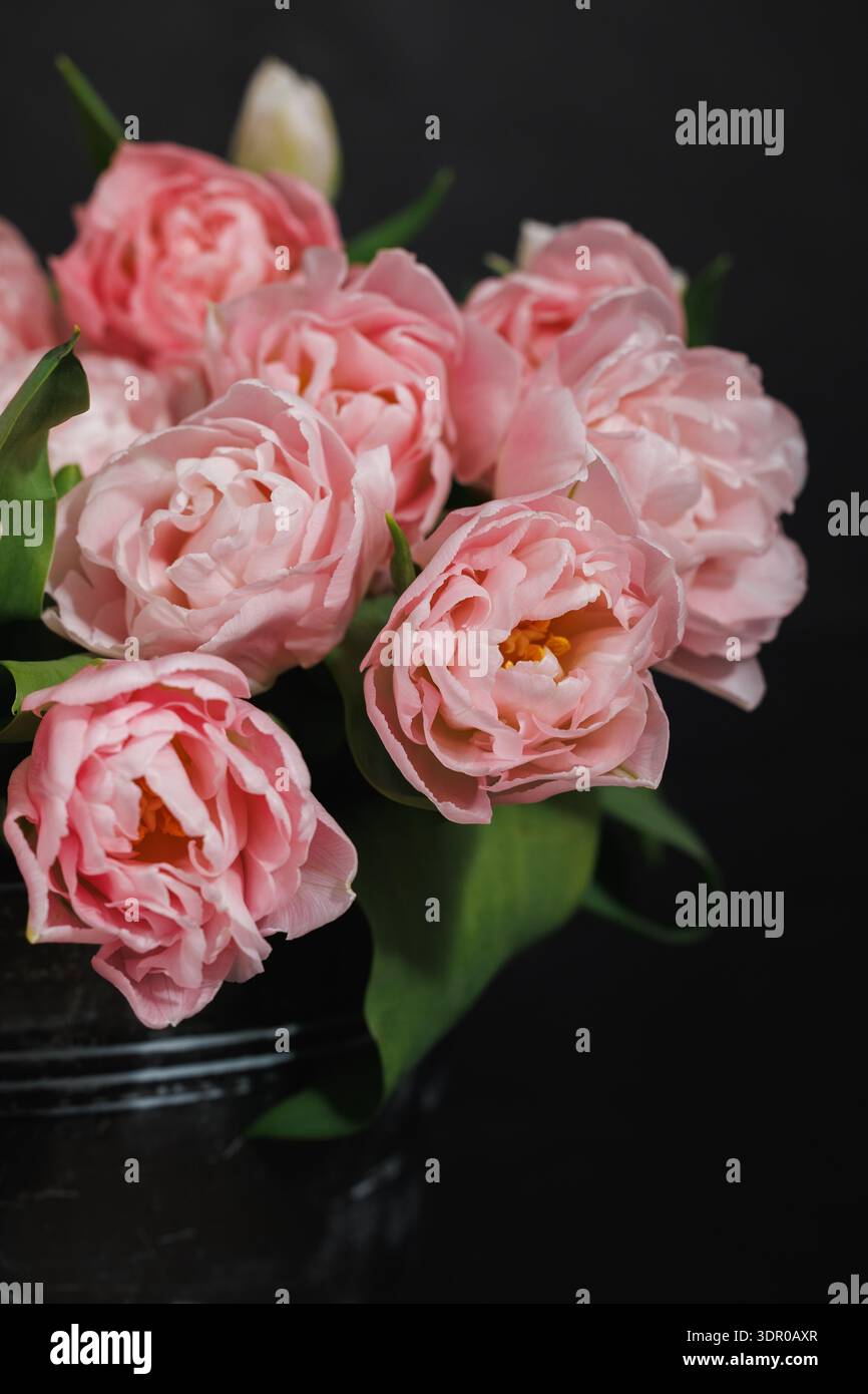 Une nature morte sophistiquée avec un bouquet de tulipes roses de style pivoine (Tulipa gesneriana) disposées dans un seau en métal foncé Banque D'Images